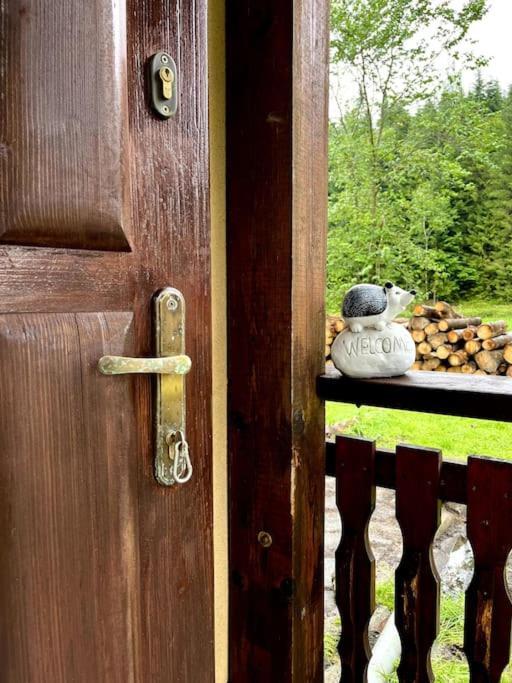 Lesny Ferienhaus *